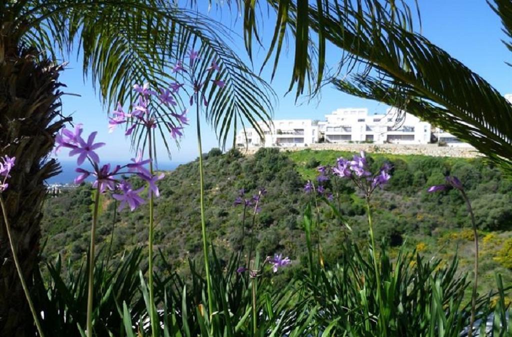 Luxurious With Area Marbella